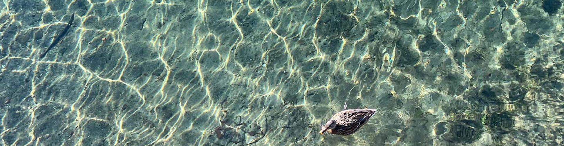 acqua lago d'orta